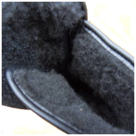 SDC16726.JPG